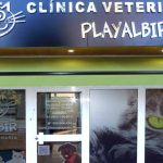 Vet in Albir