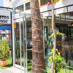 gastrocomic restaurant albir