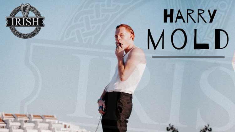 Harry Mold Live